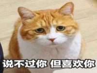 海口市进克尚百货店