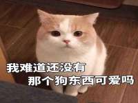 海口市进克尚百货店