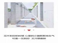 海口市进克尚百货店