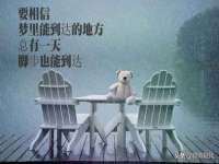海口市进克尚百货店