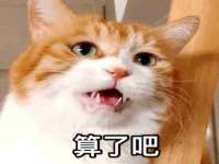 海口市进克尚百货店