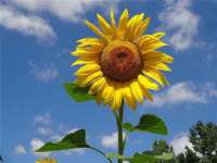 海口市进克尚百货店