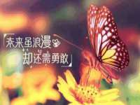 海口市进克尚百货店