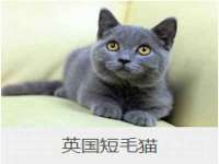 海口市进克尚百货店