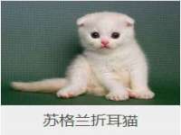 海口市进克尚百货店