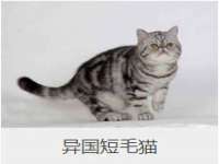 海口市进克尚百货店