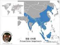 海口市进克尚百货店