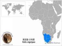 海口市进克尚百货店