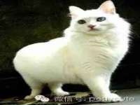 海口市进克尚百货店