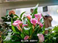 海口市进克尚百货店