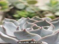 海口市进克尚百货店