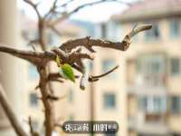 海口市进克尚百货店