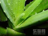 海口市进克尚百货店