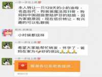 海口市进克尚百货店