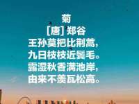 海口市进克尚百货店