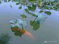 海口市进克尚百货店