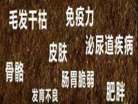 海口市进克尚百货店