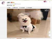 海口市进克尚百货店