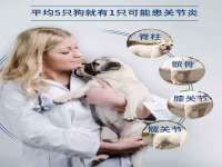 海口市进克尚百货店
