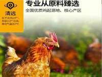海口市进克尚百货店