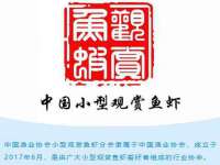 海口市进克尚百货店