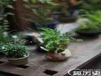 海口市进克尚百货店
