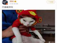 海口市进克尚百货店