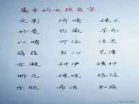 海口市进克尚百货店