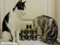 海口市进克尚百货店
